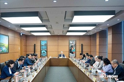 Đại biểu Quốc hội góp ý nhiều nội dung quan trọng trong các dự án luật sửa đổi
