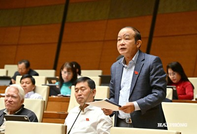 Đại biểu Quốc hội hiến kế phát triển kinh tế tư nhân, bảo vệ môi trường, chống thiên tai